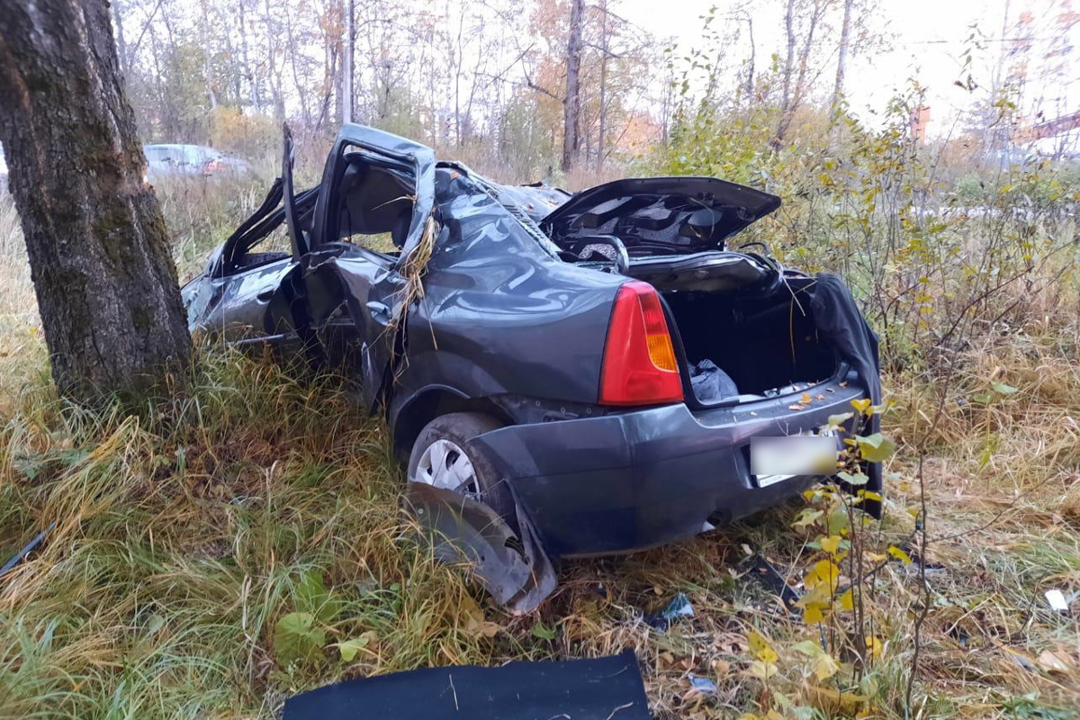 В Тверской области автомобиль врезался в дерево: водитель сломал позвоночник  | Твериград