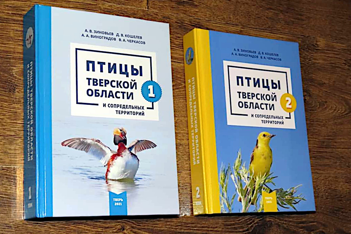 В Твери впервые вышла двухтомная книга про обитающих в регионе птиц |  Твериград