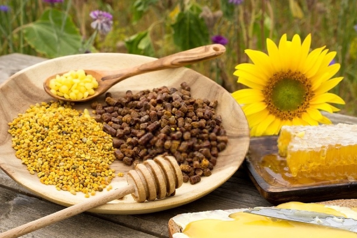Продукция пчел. Пчелопродукты пыльца и перга. Пчелиные продукты. Мед и продукция пчеловодства. Лекарственные продукты пчеловодства.