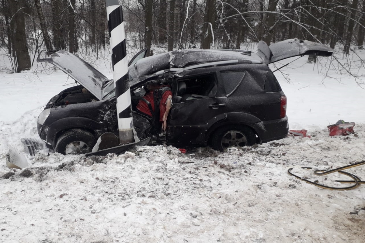 В Конаковском районе SsangYong врезался в столб: водитель получил открытый  перелом руки | Твериград