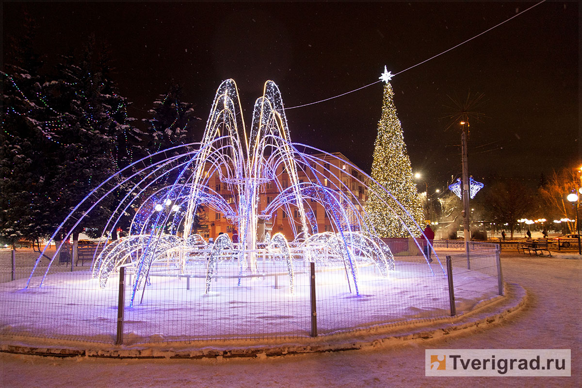 Ели в твери