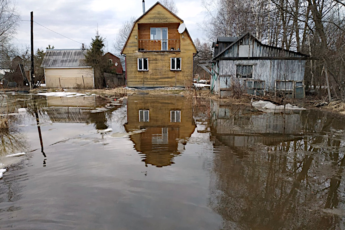 В Конаково из-за разлива реки затопило дачный посёлок | Твериград