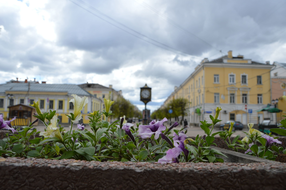 Клумбы в твери фото