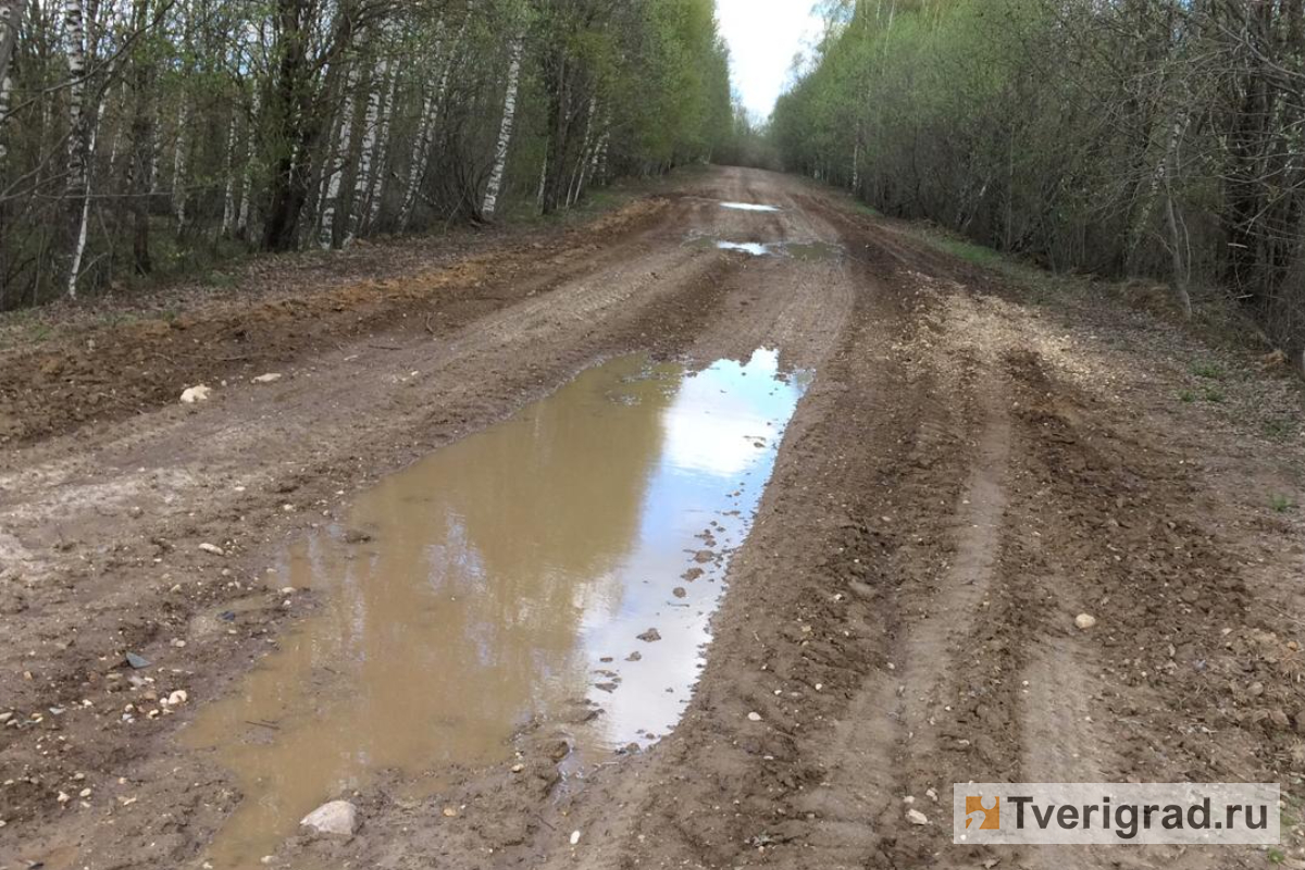 Бывший дорогой. Старая дорога. Дорога дер Шалово.