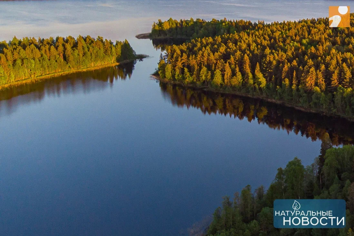 Чистая красота земли Тверской: завораживающие фото с высоты птичьего полёта  | Твериград