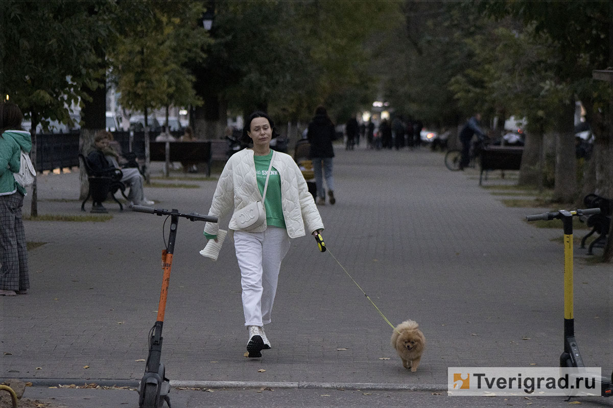 Тверь вошла в число городов, показавших наибольший прогресс в оценке  качества жизни | Твериград