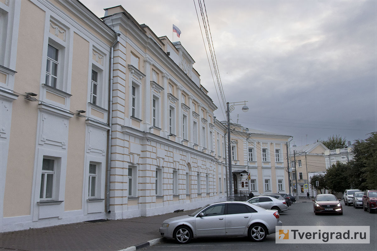 Кто есть кто: в Тверской городской Думе стало больше врачей и хоккеистов |  Твериград