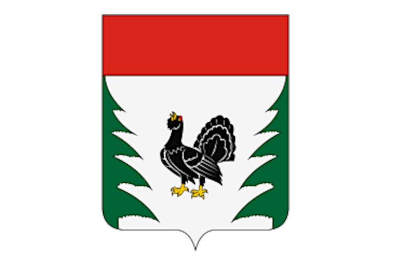 Символы стабильности: что означают герб Тверской области и геральдика муниципалитетов