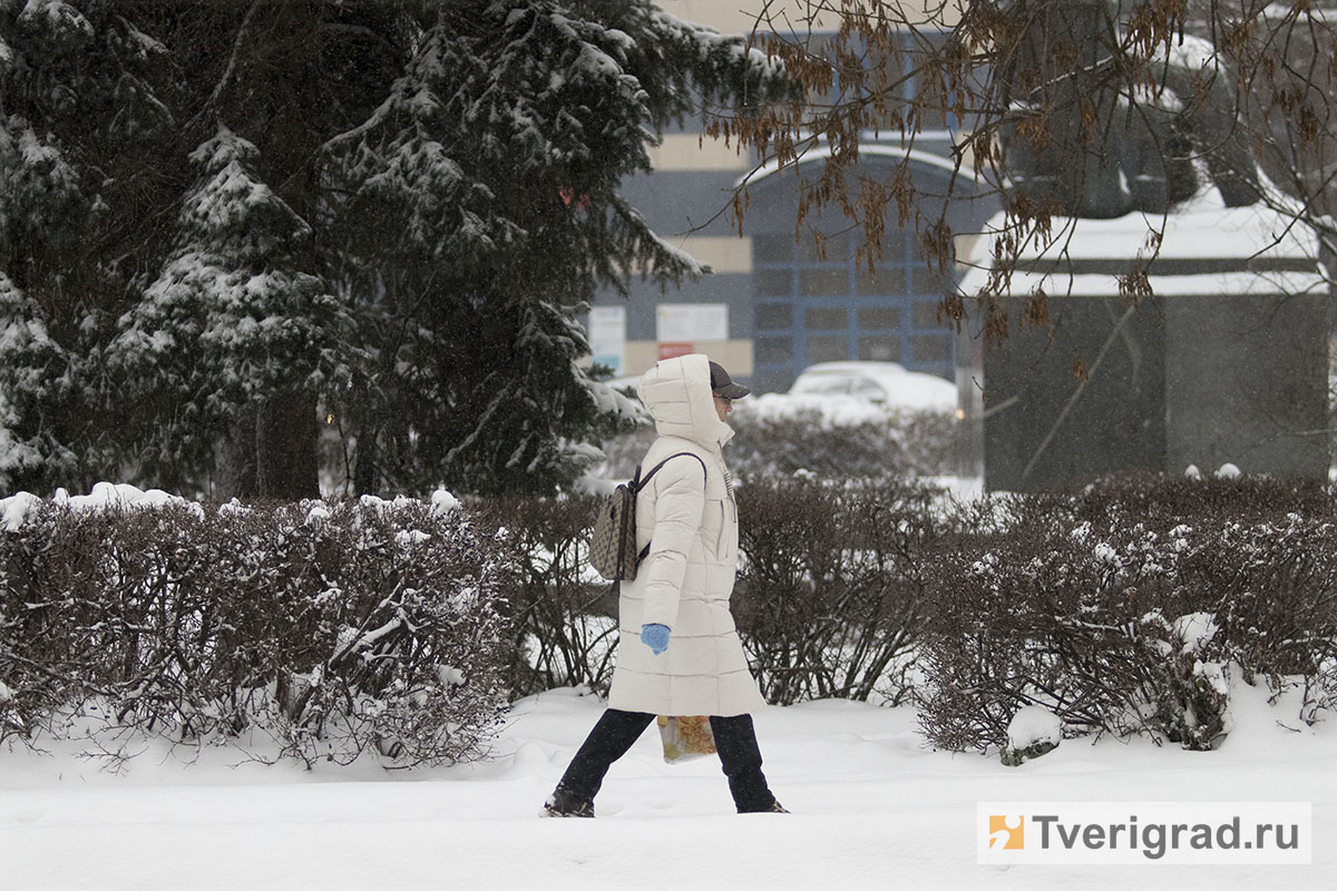 Перед зимнем. Тверь юмор зима.