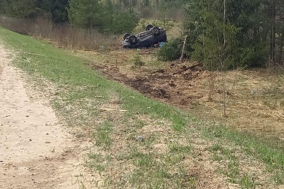 В Тверской области водитель автомобиля уснул за рулём и вылетел в кювет |  Твериград