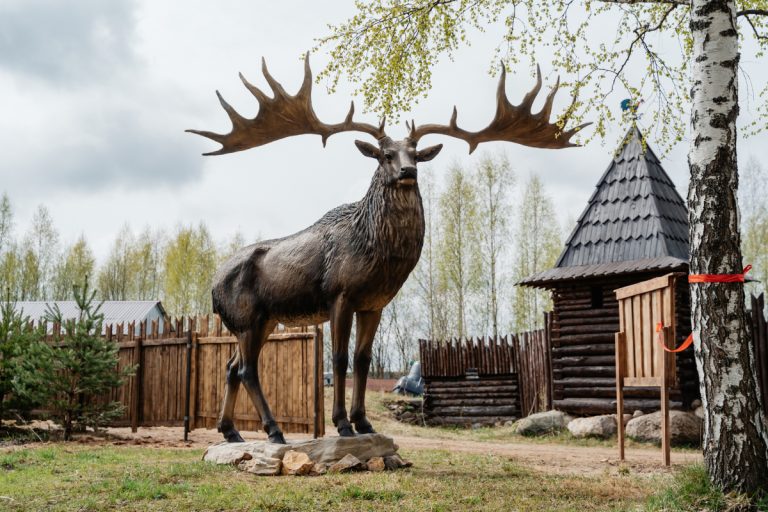 Гигантский трёхметровый олень появился в Тверской области | Твериград
