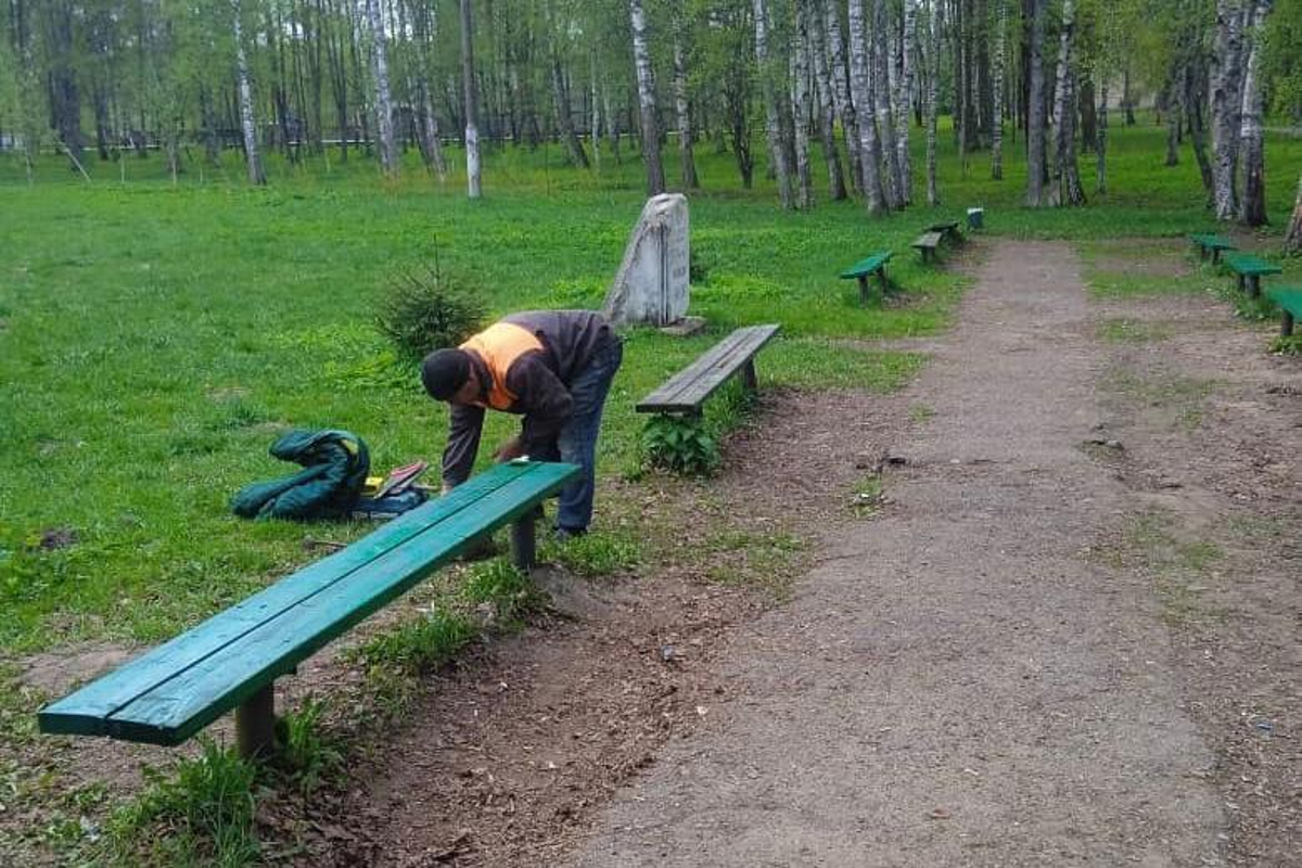 В Тверской области вандалы бьют окна, крушат скамейки и поджигают  контейнерные площадки | Твериград