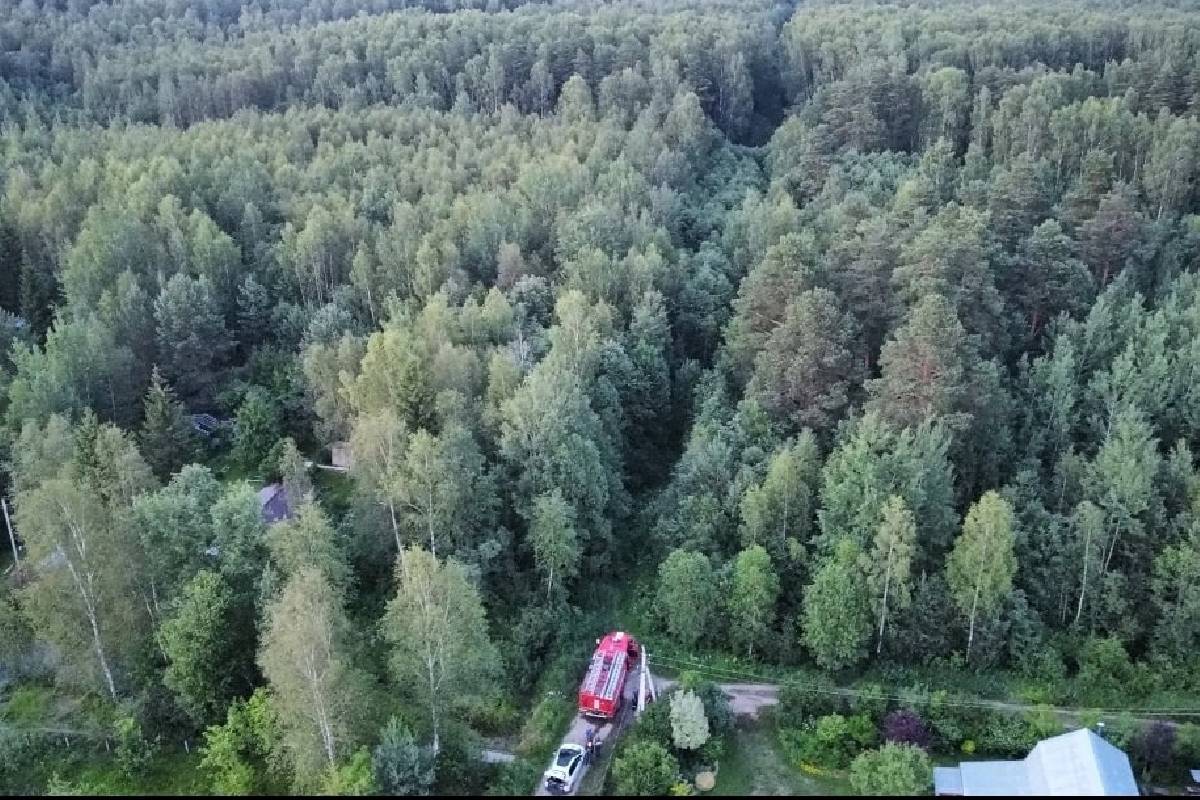 Город леса бабушкино. Пожар в лесу. Спасатели в лесу. Лесные бабки. Пожар в лесу фото.