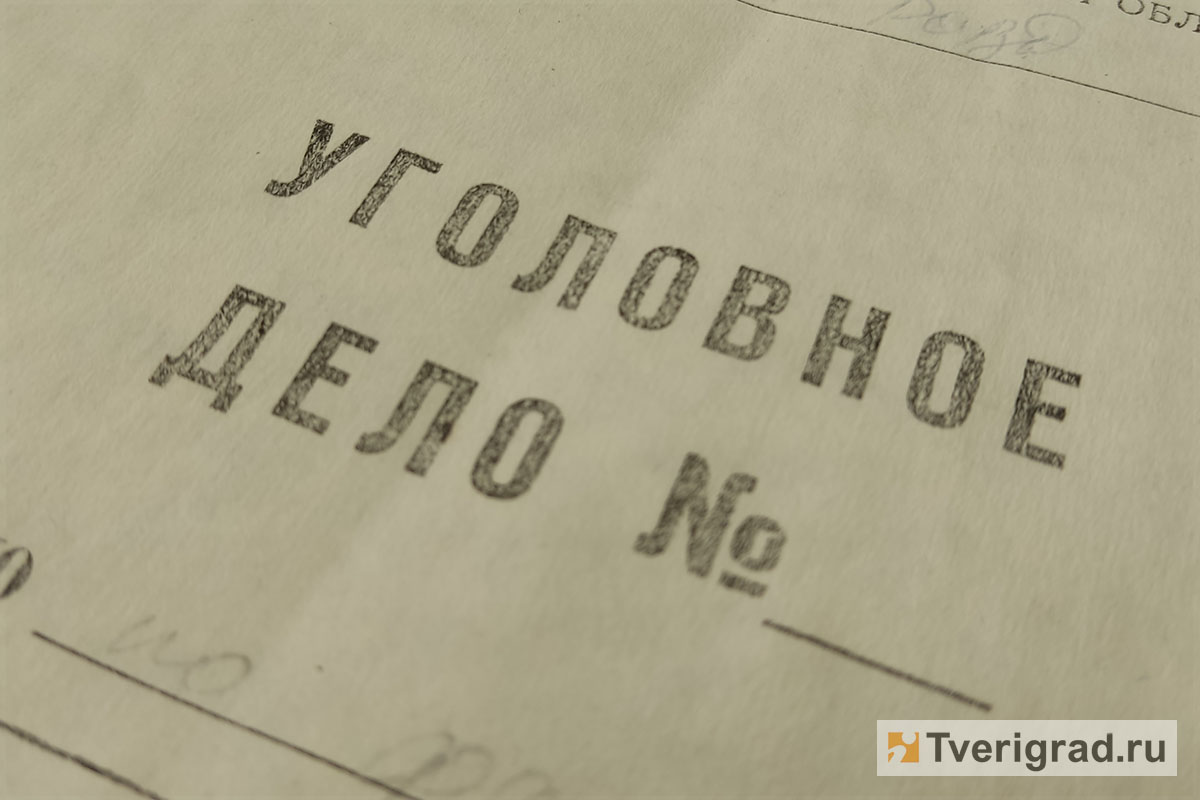 В Вышневолоцком округе проводят проверку по поводу стрельбы в девочек из  травмата | Твериград