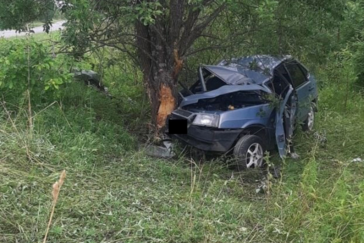 В ГИБДД назвали основные причины смертельных ДТП на дорогах Тверской  области | Твериград