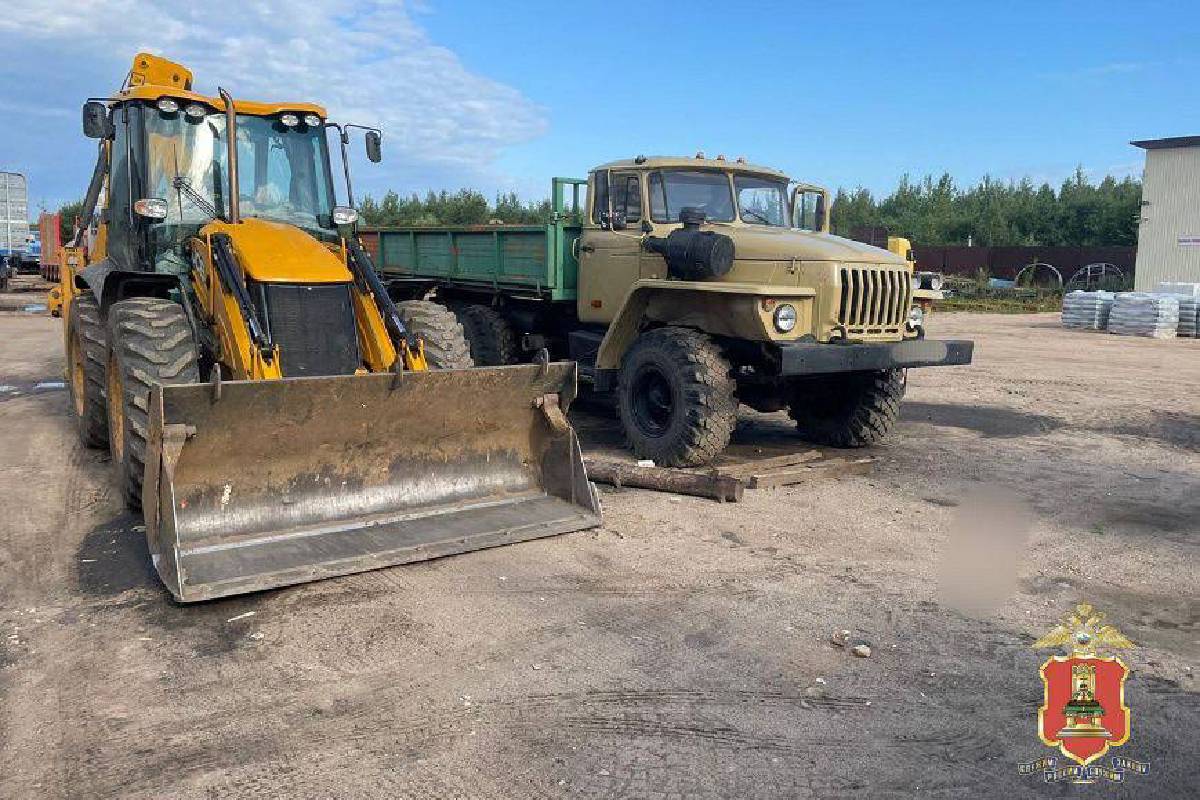 Опубликовано видео задержания предпринимателя из Осташкова, вырубившего лес  на 11,8 млн рублей | Твериград