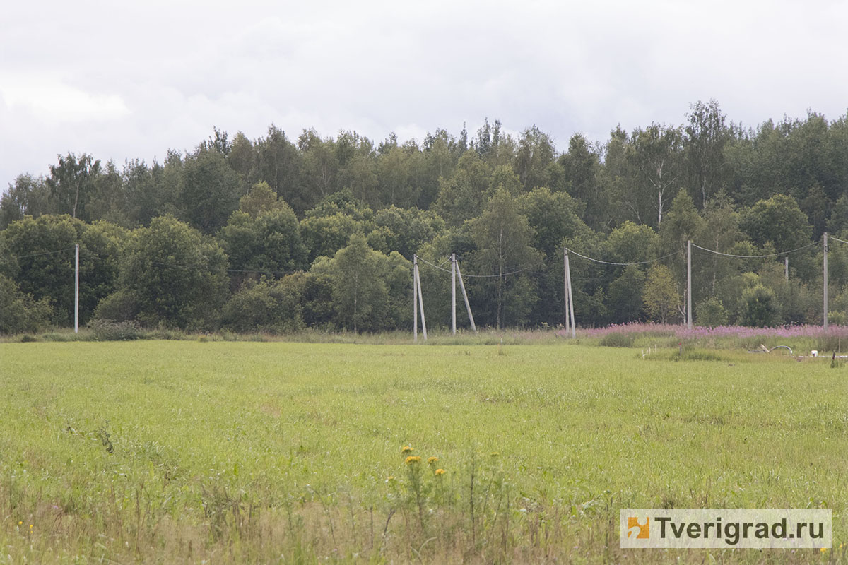 Жизнь наедине с природой: обзор загородных посёлков под Тверью - Тверь.Сегодня  - Новости Твери и Тверской области