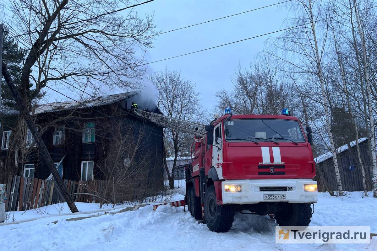 В Твери вновь горит Первомайский: на пожаре спасали людей, кошек и собак |  Твериград