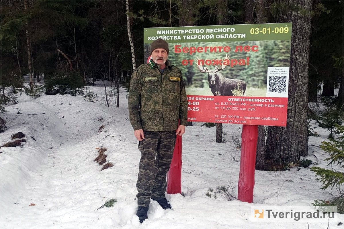 Пуща на воле: лесничий рассказал о тайнах «зелёного золота» Тверской  области | Твериград