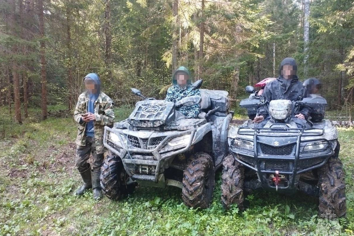 Дети из Московской области потерялись в тверских лесах | Твериград