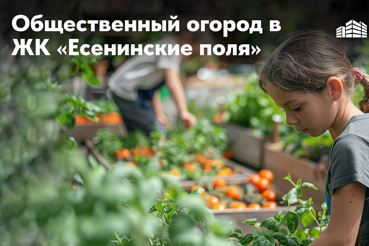 От стресса и авитаминоза: «Новый Город» создаст общественный огород в  тверском ЖК «Есенинские поля» | Твериград