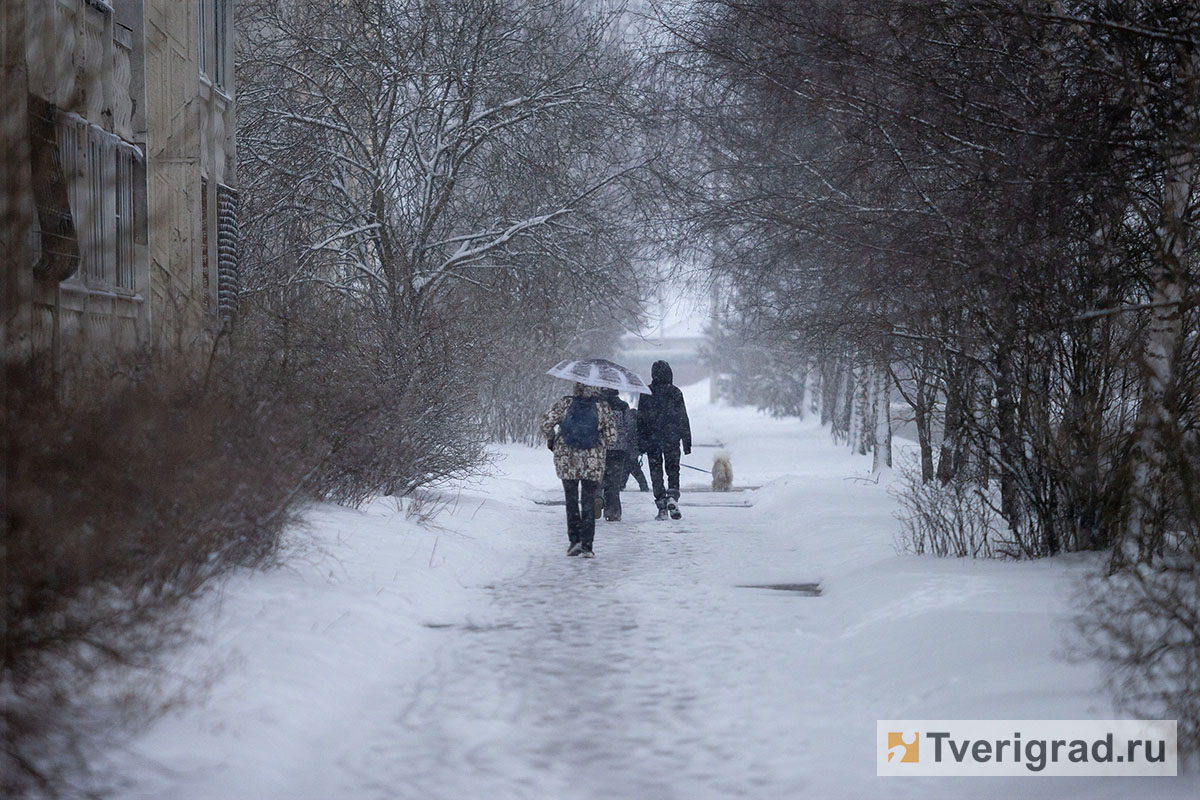 снегопад (4)