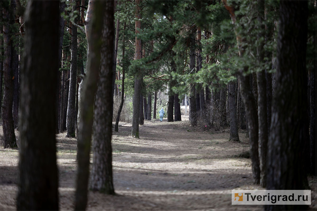 весна первомайская роща (1)