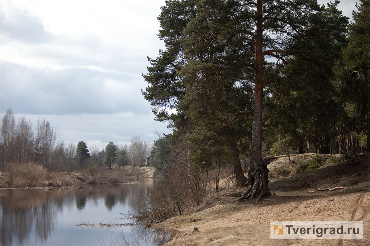 весна первомайская роща (2)