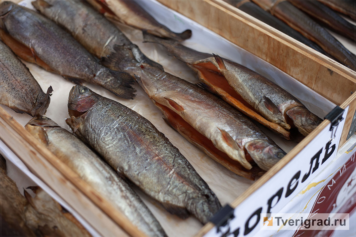 гастрофестиваль верхневолжье (13)