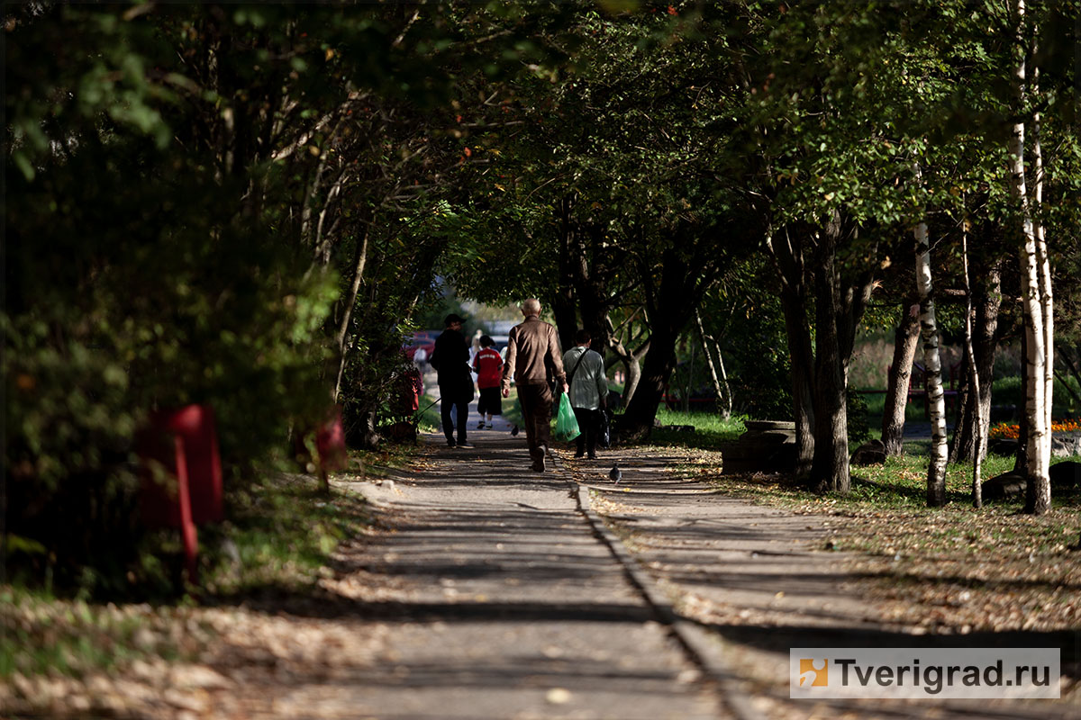 китайский парк осень (3)
