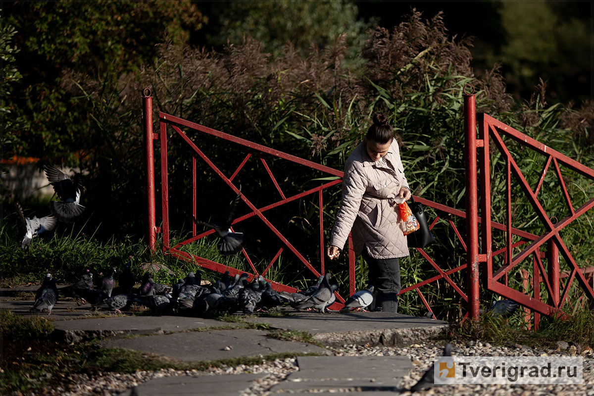 китайский парк осень (5)