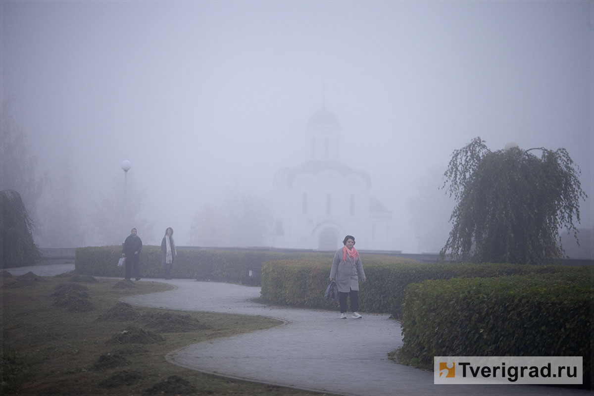 туман (13)