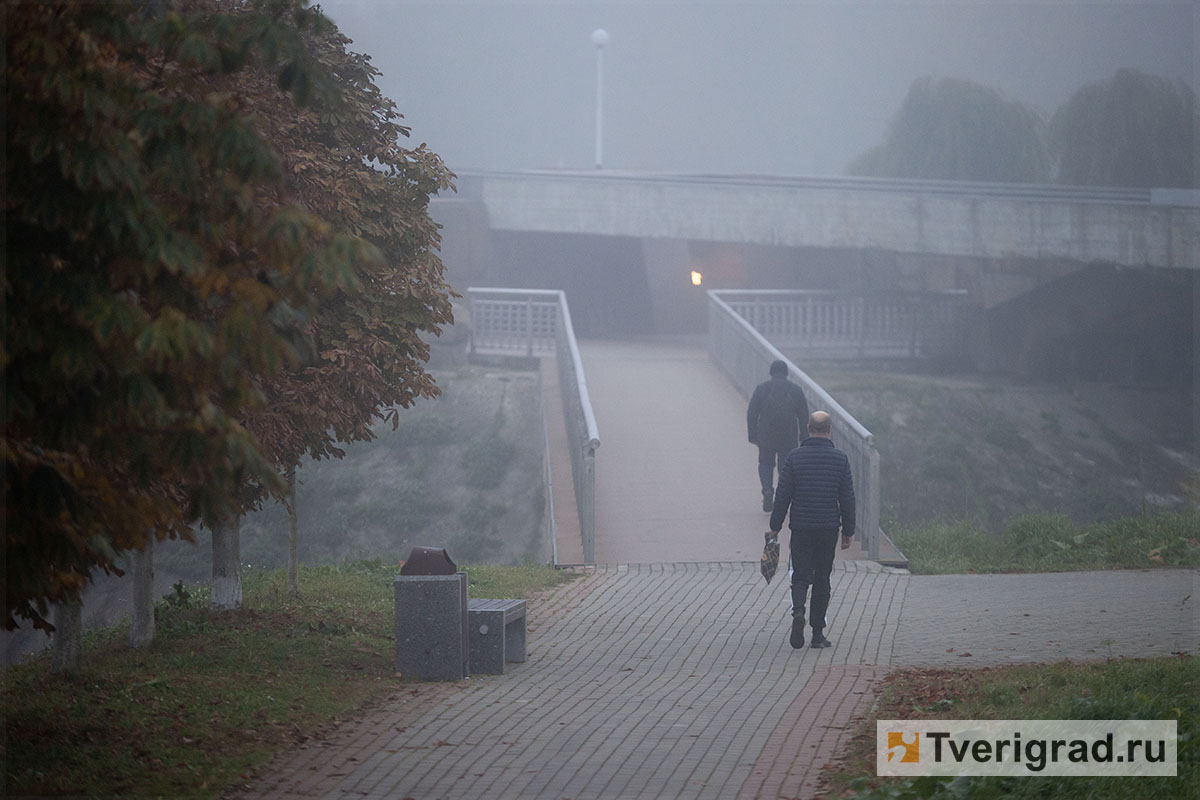 туман (15)