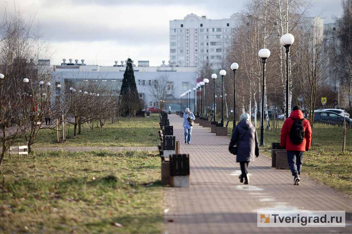 бесснежная зима осень весна (1)