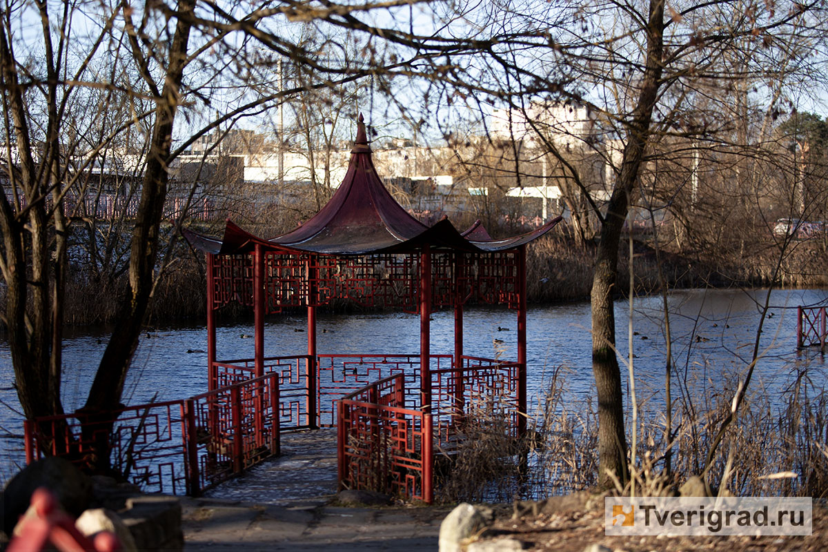 бесснежная зима осень весна (11)