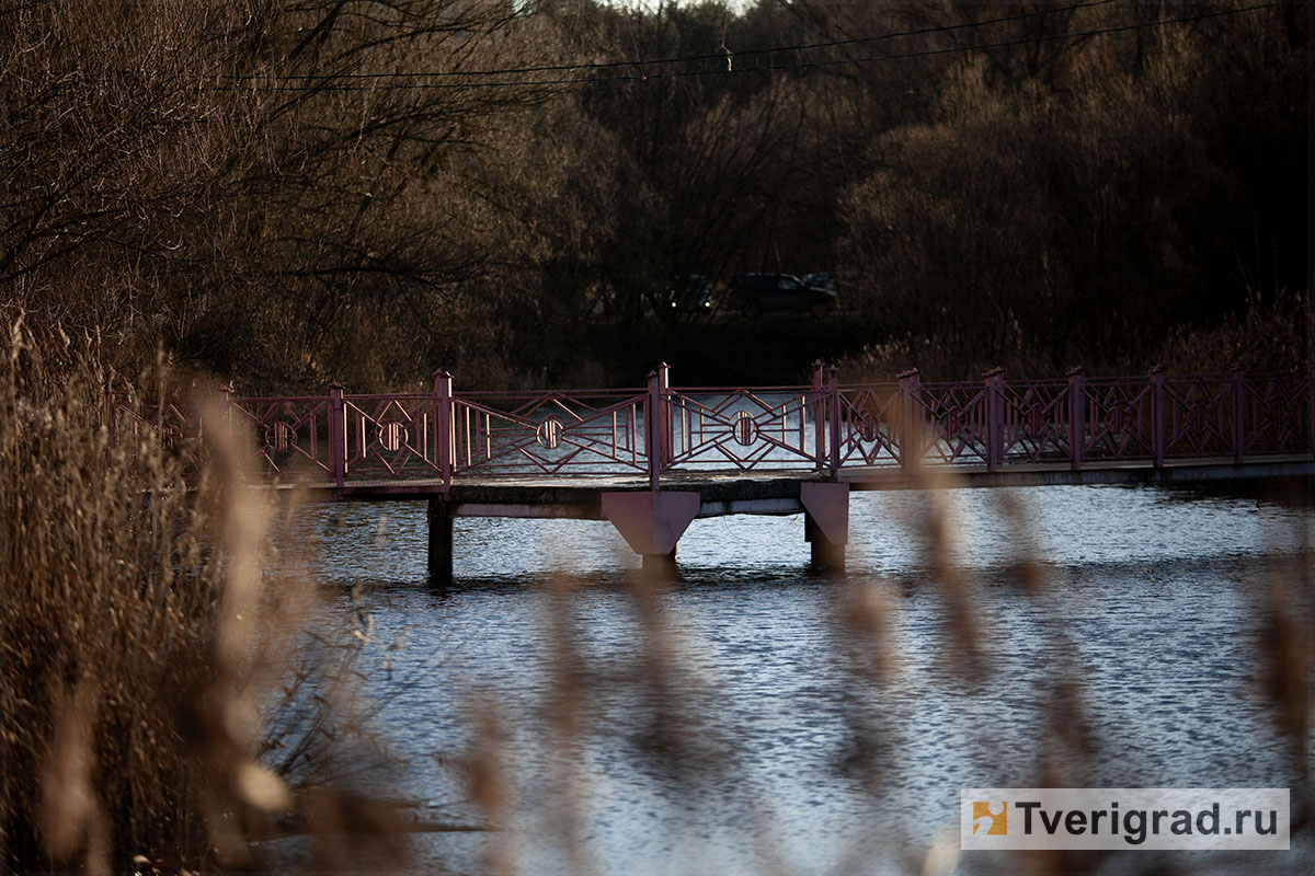 бесснежная зима осень весна (12)