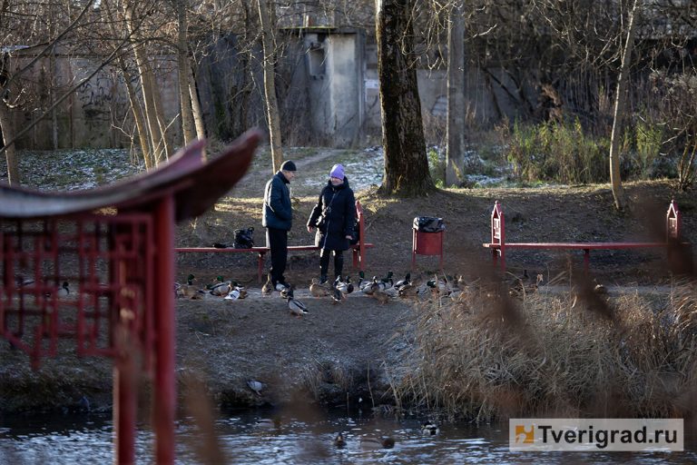 Бесснежный декабрь 2025-го года