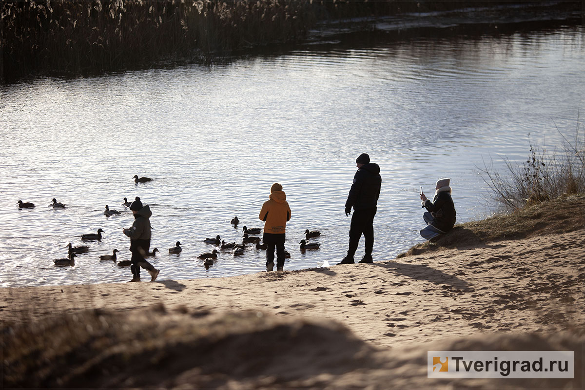 бесснежная зима осень весна (17)