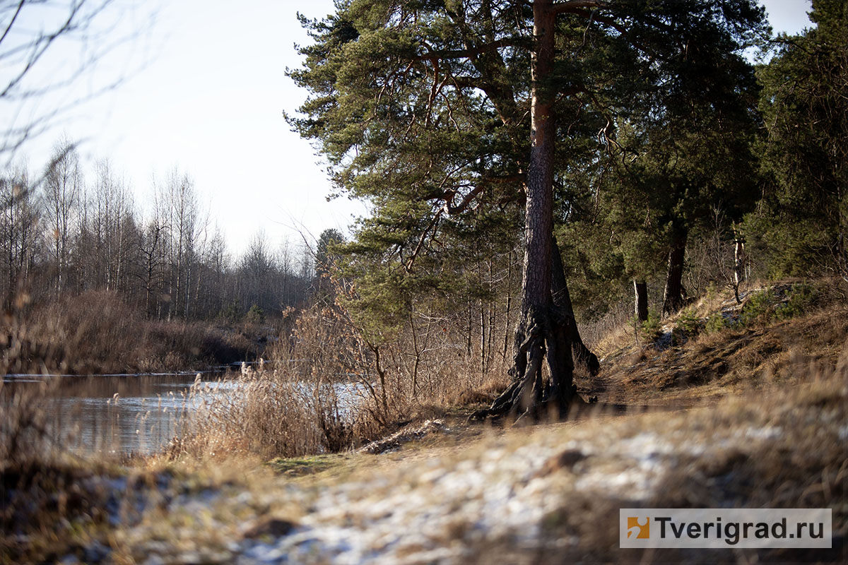 бесснежная зима осень весна (18)