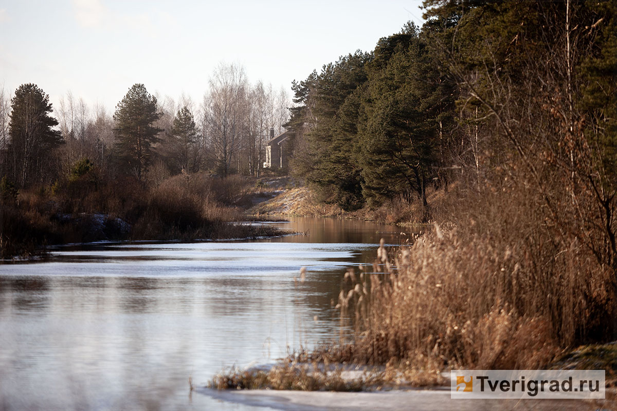 бесснежная зима осень весна (19)