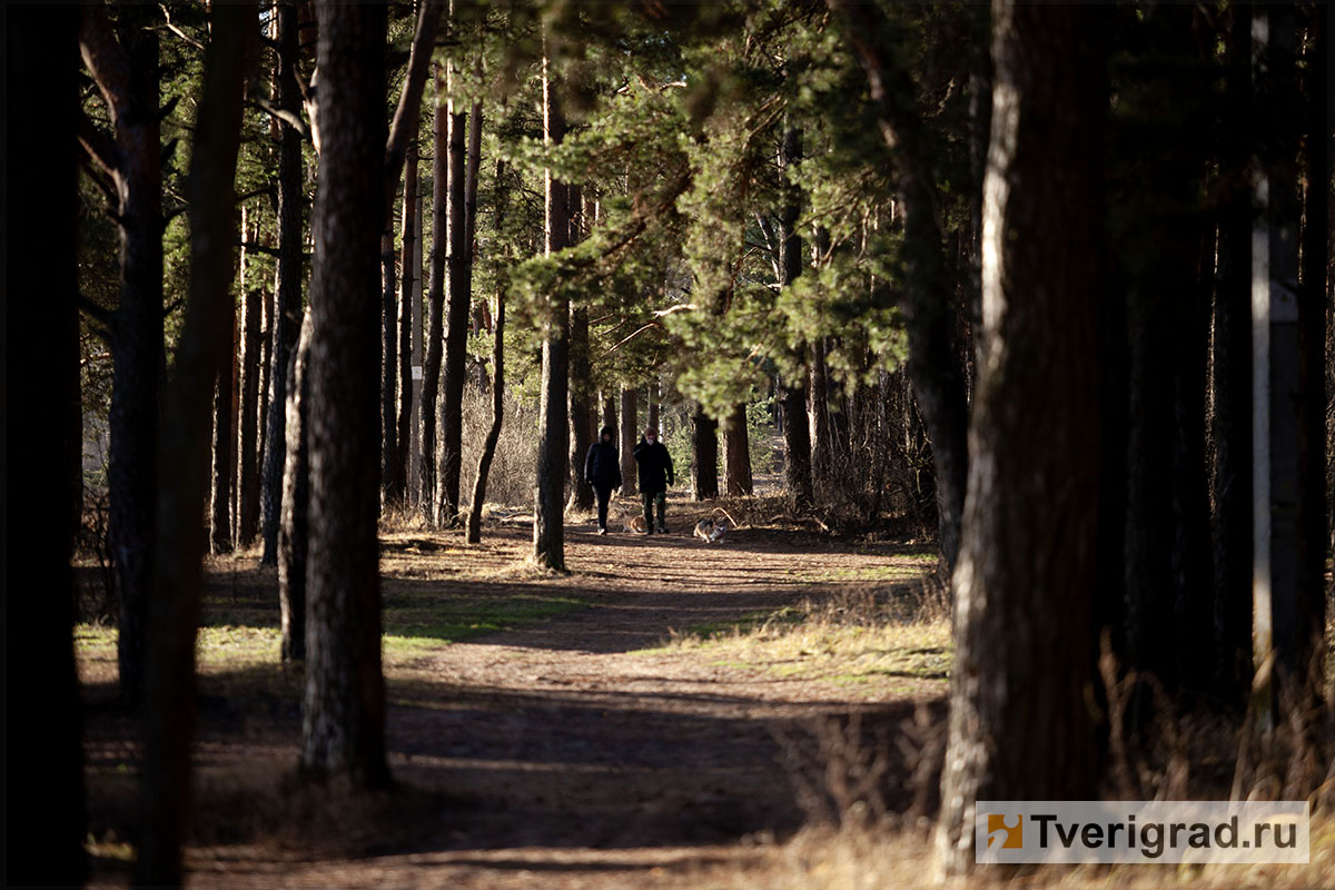 бесснежная зима осень весна (20)