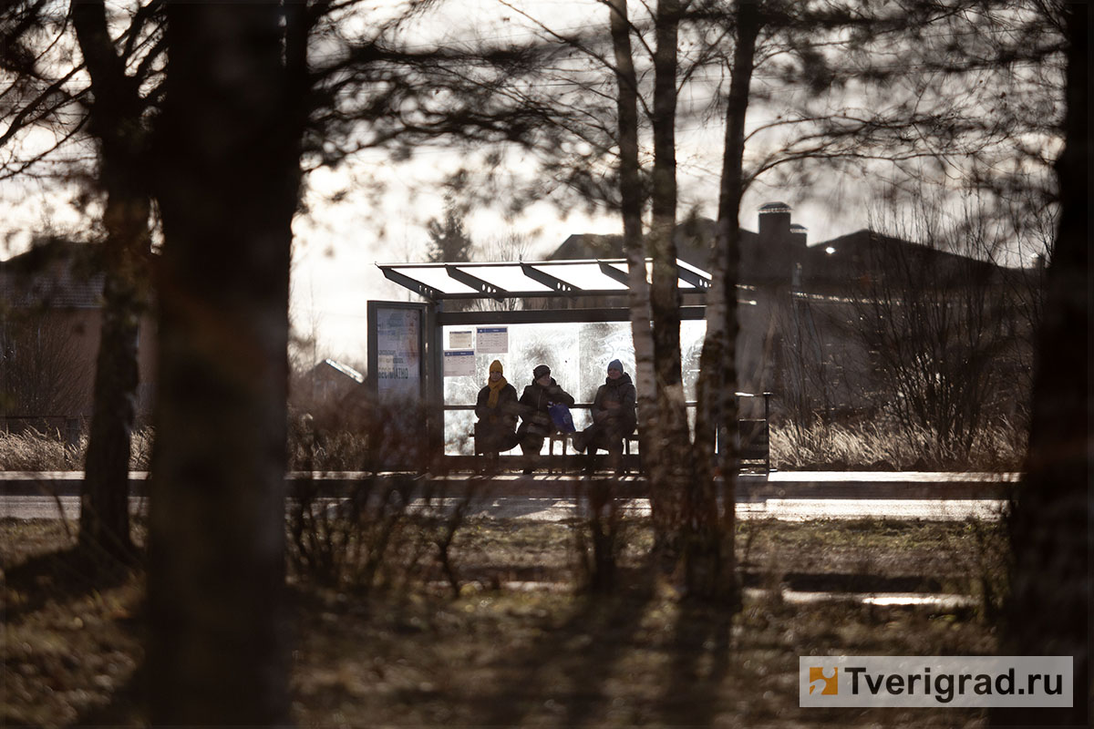 бесснежная зима осень весна (3)