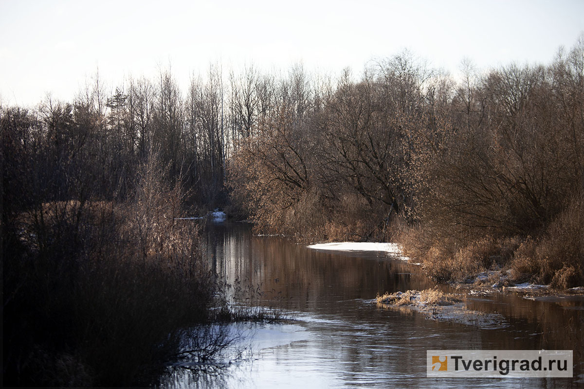 бесснежная зима осень весна (8)