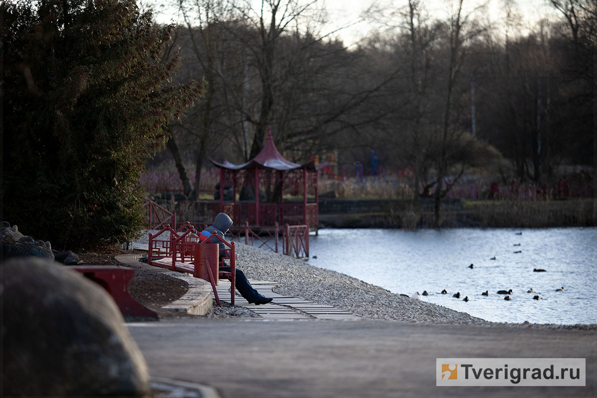 бесснежная зима осень весна (9)