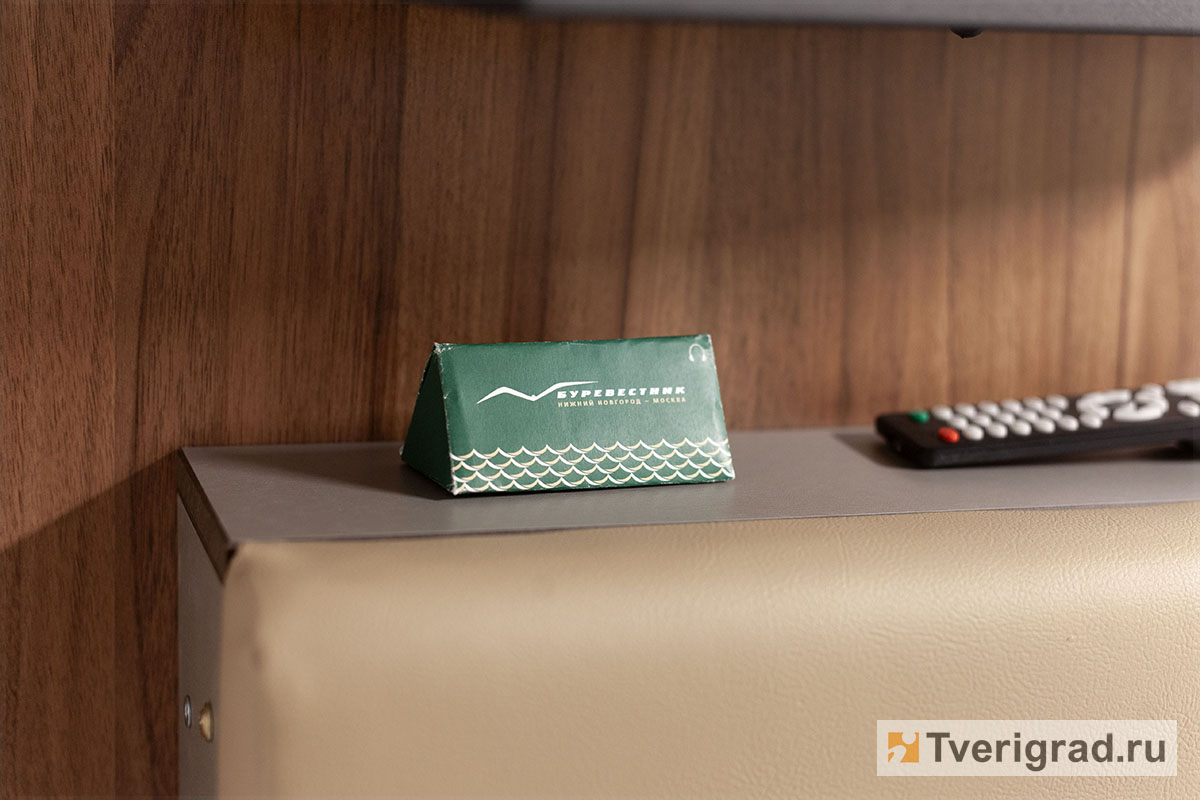 буревестник (13)