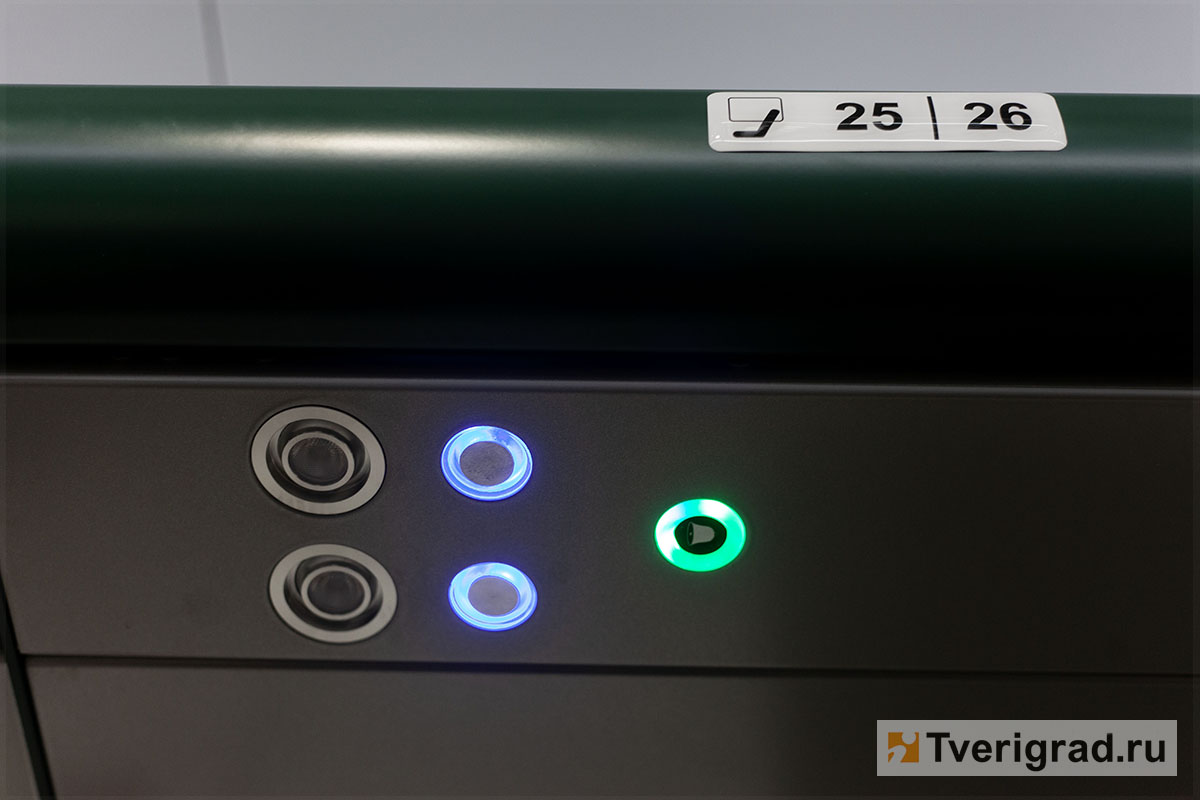 буревестник (9)