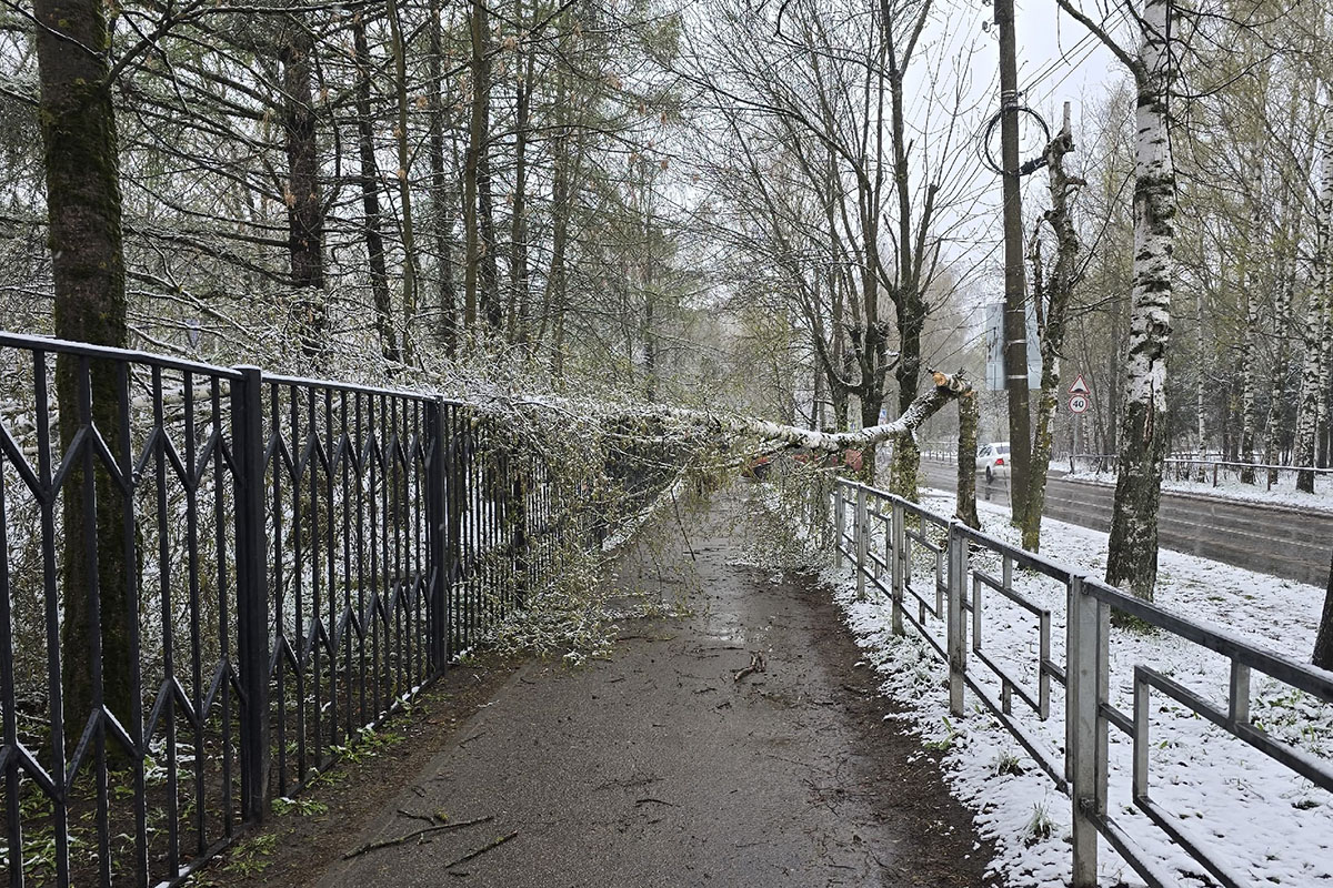 DgVks8rGZDW-lWPgRLOVoZUjVEmaHE7NpANkRZ-QirZyImPozCxczM0-lZt2xbslM3Wz-52eQyKeZkPrqH4Q-yLy