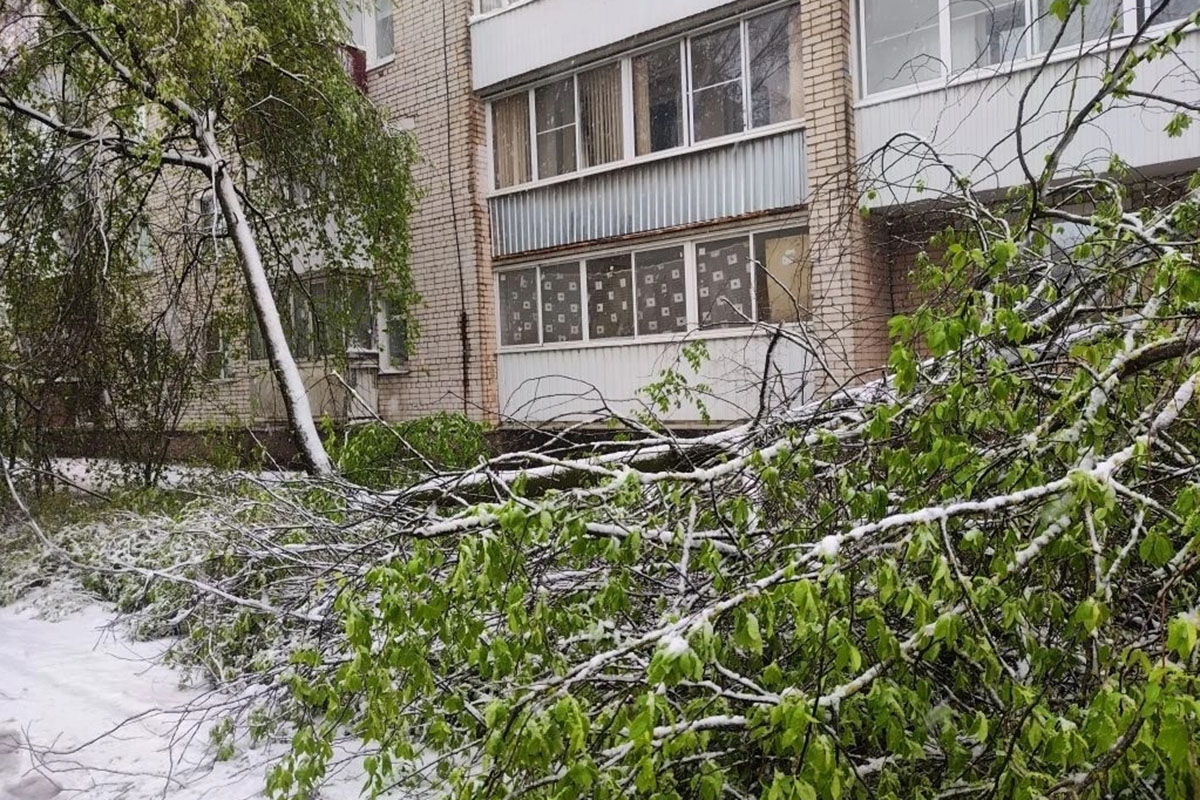 Yco97MRXv-8YRYXuGWGtieRoSdSHJw6BywJgEy_PibFZsWqqbhGwcd0NL50z9IkDZGrS2weYYDHqJTAQk2bNuUu4