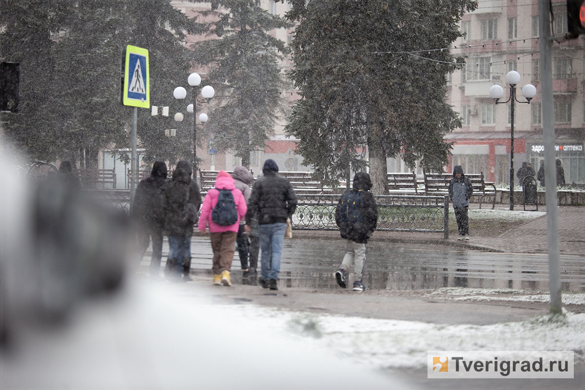 весна снегопад (10)