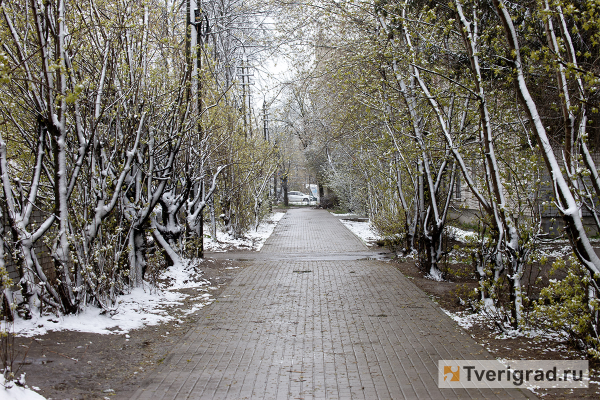 весна снегопад (11)